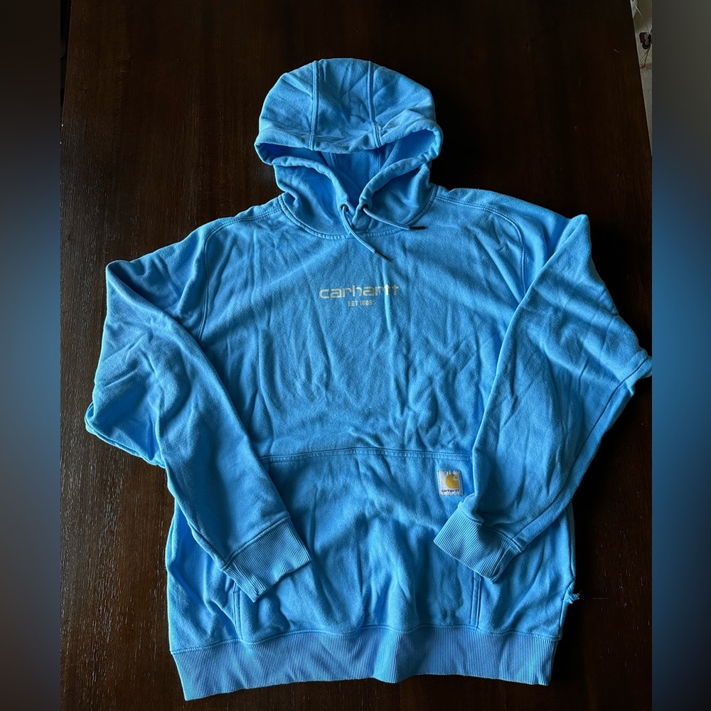 Carhartt Force Light Blue Hoodie